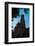 Smithsonian Castle Dawn-Steve Gadomski-Framed Photographic Print