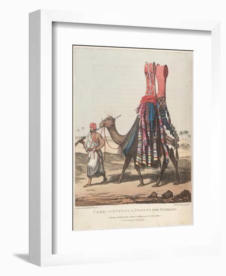 Smithsonian Libraries: Camel Conveying a Bride to her Husband-null-Framed Art Print