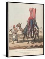 Smithsonian Libraries: Camel Conveying a Bride to her Husband-null-Framed Stretched Canvas