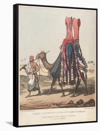 Smithsonian Libraries: Camel Conveying a Bride to her Husband-null-Framed Stretched Canvas