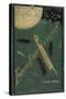 Smithsonian Libraries: Jules Verne Cover-null-Stretched Canvas