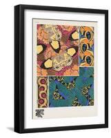 Smithsonian Libraries: Papillons (Butterflies) by E. A. Séguy-null-Framed Art Print