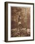 Smithsonian Libraries: The Apache-null-Framed Art Print