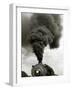 Smoke Billows from the Smoke Stack of Engine No. 734-Chris Gardner-Framed Photographic Print