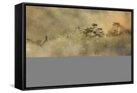 Smoke from a fire drifts across rainforest, near San Juan, Siquijor, Philippines, Southeast Asia, A-Nigel Hicks-Framed Stretched Canvas