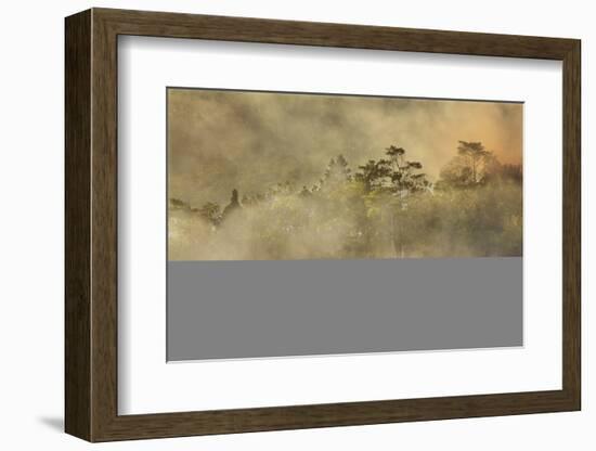 Smoke from a fire drifts across rainforest, near San Juan, Siquijor, Philippines, Southeast Asia, A-Nigel Hicks-Framed Photographic Print