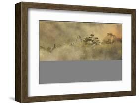 Smoke from a fire drifts across rainforest, near San Juan, Siquijor, Philippines, Southeast Asia, A-Nigel Hicks-Framed Photographic Print