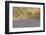 Smoke from a fire drifts across rainforest, near San Juan, Siquijor, Philippines, Southeast Asia, A-Nigel Hicks-Framed Photographic Print