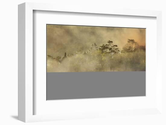 Smoke from a fire drifts across rainforest, near San Juan, Siquijor, Philippines, Southeast Asia, A-Nigel Hicks-Framed Photographic Print