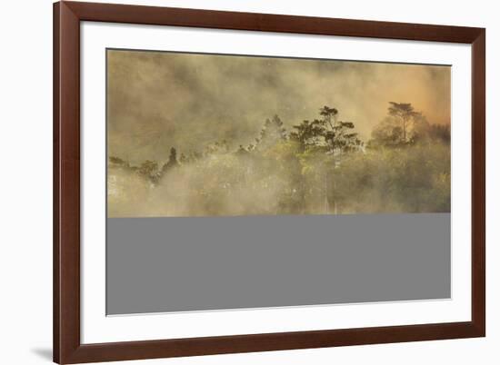 Smoke from a fire drifts across rainforest, near San Juan, Siquijor, Philippines, Southeast Asia, A-Nigel Hicks-Framed Photographic Print