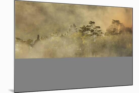 Smoke from a fire drifts across rainforest, near San Juan, Siquijor, Philippines, Southeast Asia, A-Nigel Hicks-Mounted Photographic Print