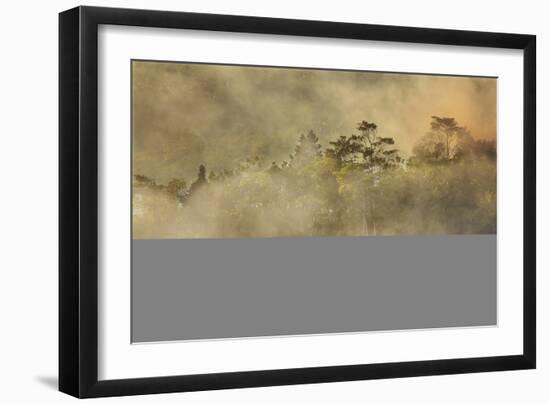 Smoke from a fire drifts across rainforest, near San Juan, Siquijor, Philippines, Southeast Asia, A-Nigel Hicks-Framed Photographic Print