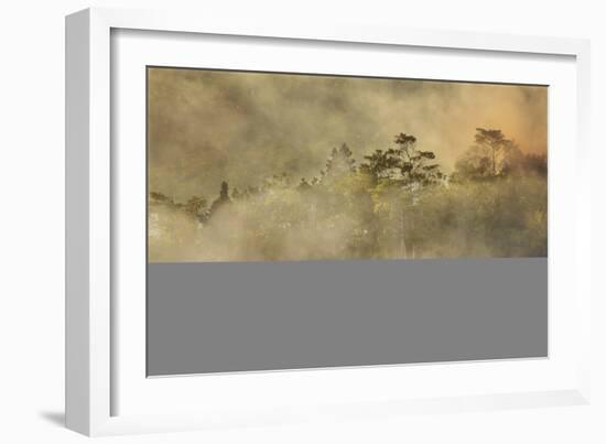 Smoke from a fire drifts across rainforest, near San Juan, Siquijor, Philippines, Southeast Asia, A-Nigel Hicks-Framed Photographic Print