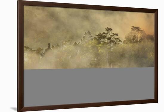 Smoke from a fire drifts across rainforest, near San Juan, Siquijor, Philippines, Southeast Asia, A-Nigel Hicks-Framed Photographic Print