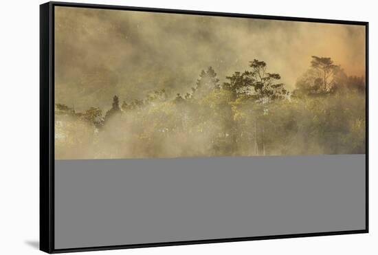 Smoke from a fire drifts across rainforest, near San Juan, Siquijor, Philippines, Southeast Asia, A-Nigel Hicks-Framed Stretched Canvas