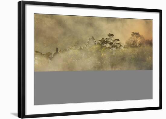 Smoke from a fire drifts across rainforest, near San Juan, Siquijor, Philippines, Southeast Asia, A-Nigel Hicks-Framed Photographic Print