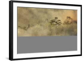 Smoke from a fire drifts across rainforest, near San Juan, Siquijor, Philippines, Southeast Asia, A-Nigel Hicks-Framed Photographic Print