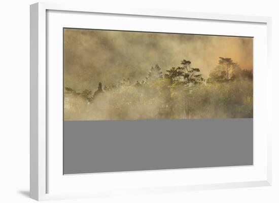 Smoke from a fire drifts across rainforest, near San Juan, Siquijor, Philippines, Southeast Asia, A-Nigel Hicks-Framed Photographic Print