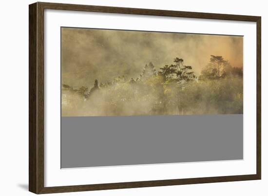 Smoke from a fire drifts across rainforest, near San Juan, Siquijor, Philippines, Southeast Asia, A-Nigel Hicks-Framed Photographic Print