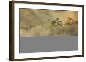 Smoke from a fire drifts across rainforest, near San Juan, Siquijor, Philippines, Southeast Asia, A-Nigel Hicks-Framed Photographic Print