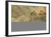 Smoke from a fire drifts across rainforest, near San Juan, Siquijor, Philippines, Southeast Asia, A-Nigel Hicks-Framed Photographic Print