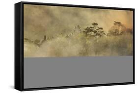 Smoke from a fire drifts across rainforest, near San Juan, Siquijor, Philippines, Southeast Asia, A-Nigel Hicks-Framed Stretched Canvas