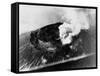 Smoke from Mount Vesuvius-null-Framed Stretched Canvas