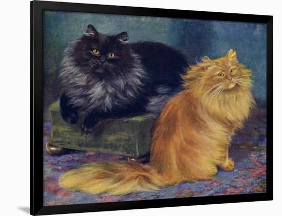 Smoke, Orange Persians-W. Luker-Framed Photographic Print