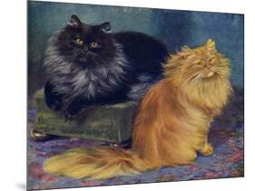 Smoke, Orange Persians-W. Luker-Mounted Premium Photographic Print