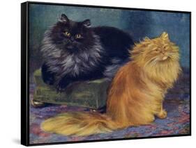 Smoke, Orange Persians-W. Luker-Framed Stretched Canvas