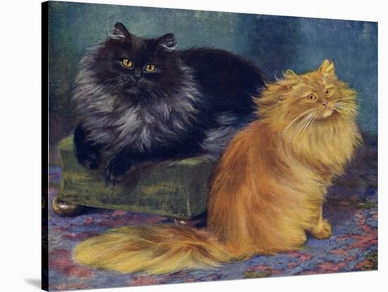 Smoke, Orange Persians-W. Luker-Stretched Canvas