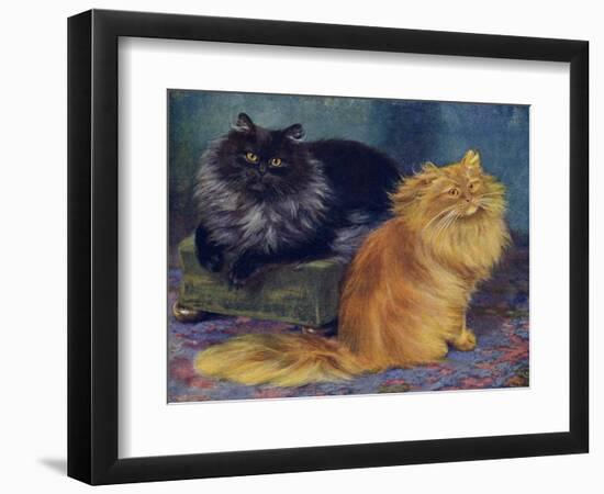 Smoke, Orange Persians-W. Luker-Framed Photographic Print