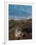 Smoke Rises from a Drilling Rig on the Roan Plateau-Peter M. Fredin-Framed Photographic Print