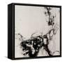 Smoke-Farrell Douglass-Framed Stretched Canvas