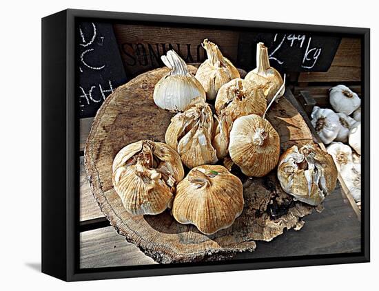 Smoked Garlic-Dorothy Berry-Lound-Framed Stretched Canvas