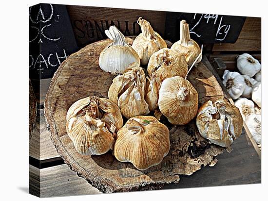 Smoked Garlic-Dorothy Berry-Lound-Stretched Canvas