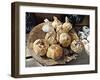 Smoked Garlic-Dorothy Berry-Lound-Framed Giclee Print