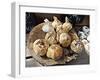 Smoked Garlic-Dorothy Berry-Lound-Framed Giclee Print