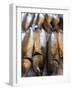 Smoked Herring in Fish Market, Bruges, Belgium, Europe-Martin Child-Framed Photographic Print