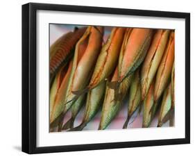 Smoked Mackerel, Bergen's Fish Market, Norway-Russell Young-Framed Premium Photographic Print