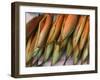 Smoked Mackerel, Bergen's Fish Market, Norway-Russell Young-Framed Photographic Print