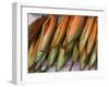 Smoked Mackerel, Bergen's Fish Market, Norway-Russell Young-Framed Photographic Print