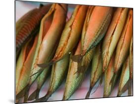 Smoked Mackerel, Bergen's Fish Market, Norway-Russell Young-Mounted Photographic Print