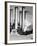 Smokestacks of Edison Power Company-Philip Gendreau-Framed Photographic Print