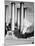 Smokestacks of Edison Power Company-Philip Gendreau-Mounted Photographic Print