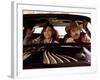 Smokey And The Bandit, Sally Field, Burt Reynolds, 1977-null-Framed Photo