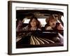 Smokey And The Bandit, Sally Field, Burt Reynolds, 1977-null-Framed Photo