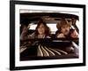 Smokey And The Bandit, Sally Field, Burt Reynolds, 1977-null-Framed Photo