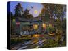 Smokey’s General Store-Geno Peoples-Stretched Canvas