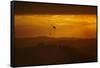 Smokey sunset and helicopter fighting fire at Burnside, Dunedin, South Island, New Zealand-David Wall-Framed Stretched Canvas